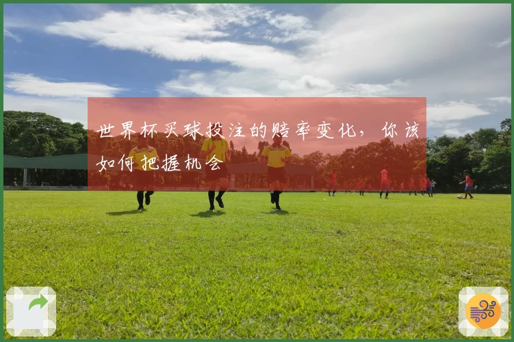 世界杯买球投注的赔率变化，你该如何把握机会