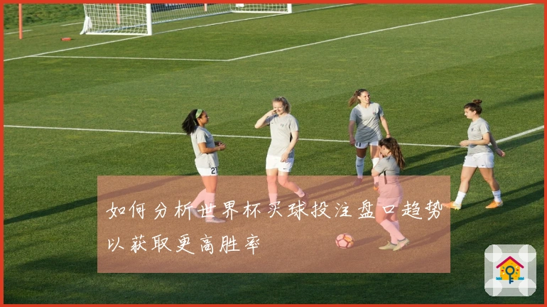 如何分析世界杯买球投注盘口趋势以获取更高胜率