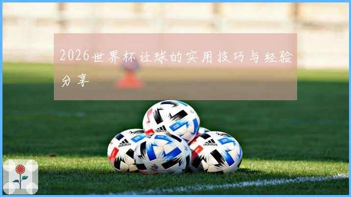 2026世界杯让球的实用技巧与经验分享