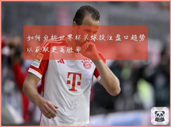 如何分析世界杯买球投注盘口趋势以获取更高胜率