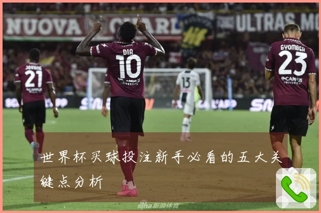 世界杯买球投注新手必看的五大关键点分析