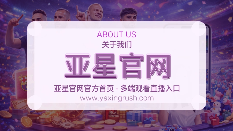 亚星官网服务承接说明